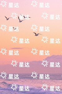 沈知意裴司域免费阅读无弹窗大结局_（你如风我似烬：+后续+结局）沈知意裴司域最新章节列表_笔趣阁（你如风我似烬：+后续+结局）