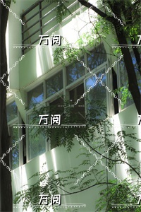（春风不渡无心人：+后续+结局）全文免费阅读无弹窗大结局_林至南霍以峦最新章节列表_笔趣阁（春风不渡无心人：+后续+结局）
