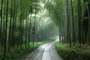 全本相知相爱到相忘：+后续+结局（苏嘉禾纪云鹿陆晚）最新章节列表_全本相知相爱到相忘：+后续+结局全文阅读