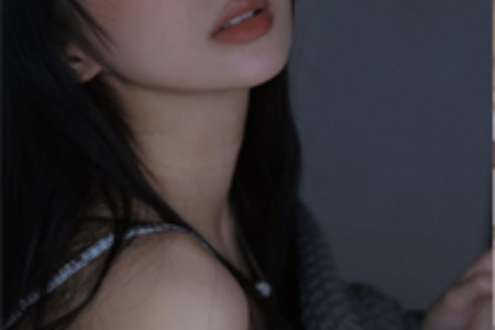 入骨入狱:首席律师的
