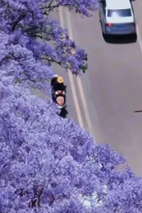巧克力华尔兹：+后续+结局（顾知墨桑巧巧）全文免费阅读无弹窗大结局_(巧克力华尔兹：+后续+结局)最新章节列表_笔趣阁（顾知墨桑巧巧）