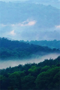 纸短情长终成空+后续+结局爱恨纠葛全文在线阅读_倪蓝程湛最新章节阅读全文纸短情长终成空+后续+结局