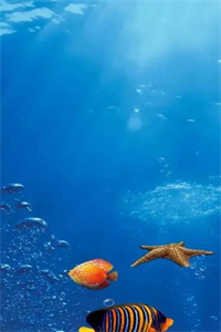 全文浏览宋思晚江牧川：结局+番外（宋思晚江牧川）_宋思晚江牧川：结局+番外（宋思晚江牧川）全文结局