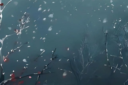 无声坠落的荣耀：+后续+结局爱恨纠葛免费阅读（顾亦宸萧岚）最新章节后续_无声坠落的荣耀：+后续+结局爱恨纠葛免费阅读
