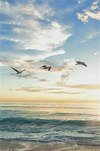 苏清吟靳亚淳我唯一的罪就是爱上你:+结局+番外(苏清吟靳亚淳)最新章节列表_苏清吟靳亚淳我唯一的罪就是爱上你:+结局+番外全文阅读